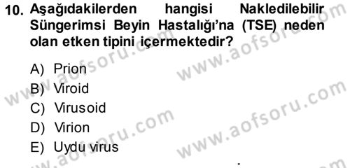 Viroloji Dersi Ara Sınavı Deneme Sınav Soruları 10. Soru