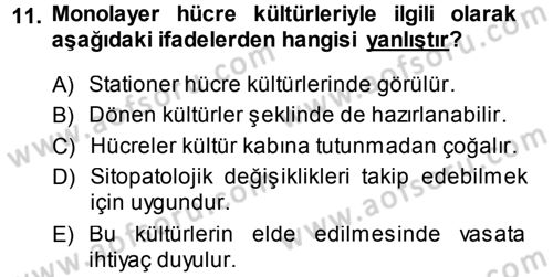 Viroloji Dersi 2013 - 2014 Yılı (Vize) Ara Sınav Soruları 11. Soru