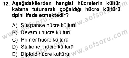 Viroloji Dersi Ara Sınavı Deneme Sınav Soruları 12. Soru