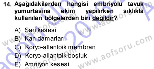 Viroloji Dersi 2013 - 2014 Yılı (Vize) Ara Sınav Soruları 14. Soru