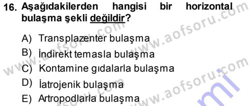 Viroloji Dersi Ara Sınavı Deneme Sınav Soruları 16. Soru