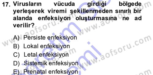 Viroloji Dersi Ara Sınavı Deneme Sınav Soruları 17. Soru
