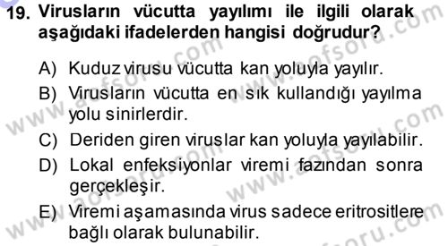 Viroloji Dersi Ara Sınavı Deneme Sınav Soruları 19. Soru