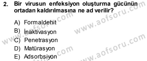 Viroloji Dersi Ara Sınavı Deneme Sınav Soruları 2. Soru