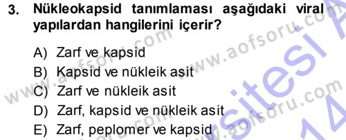 Viroloji Dersi Ara Sınavı Deneme Sınav Soruları 3. Soru