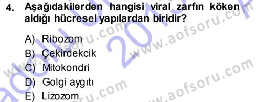 Viroloji Dersi 2013 - 2014 Yılı (Vize) Ara Sınav Soruları 4. Soru