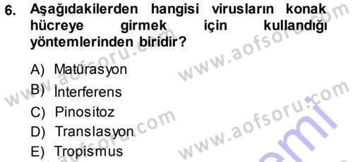 Viroloji Dersi 2013 - 2014 Yılı (Vize) Ara Sınav Soruları 6. Soru