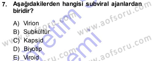 Viroloji Dersi Ara Sınavı Deneme Sınav Soruları 7. Soru