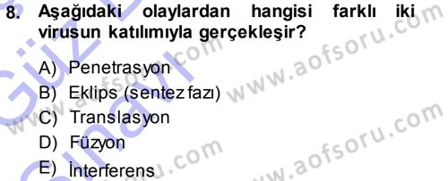 Viroloji Dersi 2013 - 2014 Yılı (Vize) Ara Sınav Soruları 8. Soru