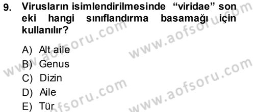 Viroloji Dersi Ara Sınavı Deneme Sınav Soruları 9. Soru