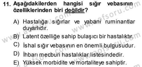 Viroloji Dersi 2013 - 2014 Yılı (Final) Dönem Sonu Sınav Soruları 11. Soru