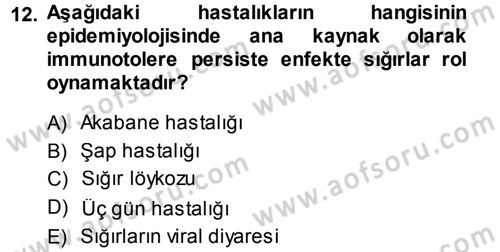 Viroloji Dersi 2013 - 2014 Yılı (Final) Dönem Sonu Sınav Soruları 12. Soru