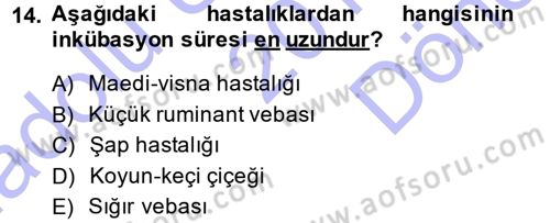Viroloji Dersi 2013 - 2014 Yılı (Final) Dönem Sonu Sınav Soruları 14. Soru