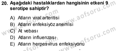 Viroloji Dersi 2013 - 2014 Yılı (Final) Dönem Sonu Sınav Soruları 20. Soru