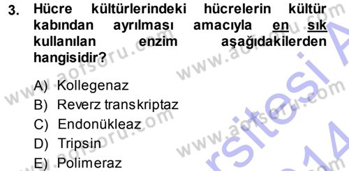 Viroloji Dersi 2013 - 2014 Yılı (Final) Dönem Sonu Sınav Soruları 3. Soru