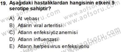 Viroloji Dersi 2013 - 2014 Yılı Tek Ders Sınav Soruları 19. Soru
