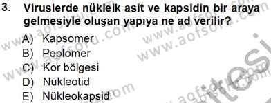 Viroloji Dersi 2013 - 2014 Yılı Tek Ders Sınav Soruları 3. Soru