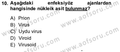 Viroloji Dersi Ara Sınavı Deneme Sınav Soruları 10. Soru
