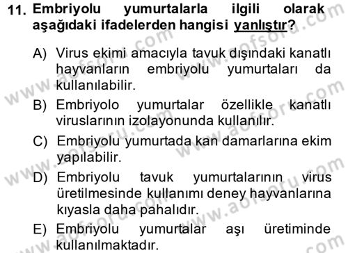 Viroloji Dersi Ara Sınavı Deneme Sınav Soruları 11. Soru