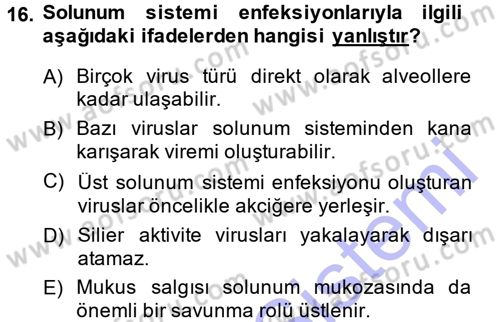 Viroloji Dersi Ara Sınavı Deneme Sınav Soruları 16. Soru