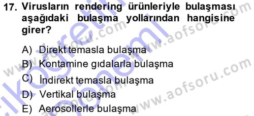 Viroloji Dersi Ara Sınavı Deneme Sınav Soruları 17. Soru