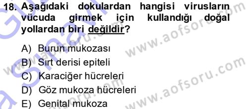 Viroloji Dersi 2014 - 2015 Yılı (Vize) Ara Sınav Soruları 18. Soru