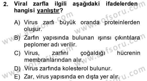 Viroloji Dersi Ara Sınavı Deneme Sınav Soruları 2. Soru