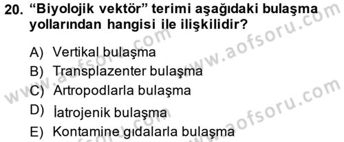 Viroloji Dersi 2014 - 2015 Yılı (Vize) Ara Sınav Soruları 20. Soru