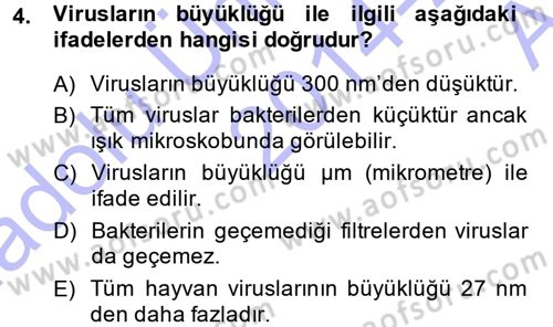 Viroloji Dersi Ara Sınavı Deneme Sınav Soruları 4. Soru