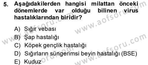 Viroloji Dersi Ara Sınavı Deneme Sınav Soruları 5. Soru