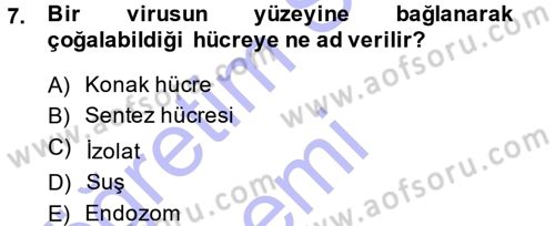 Viroloji Dersi Ara Sınavı Deneme Sınav Soruları 7. Soru