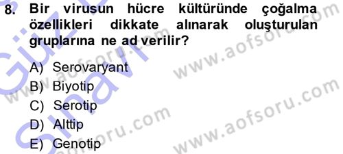 Viroloji Dersi Ara Sınavı Deneme Sınav Soruları 8. Soru