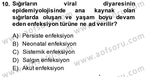 Viroloji Dersi 2014 - 2015 Yılı (Final) Dönem Sonu Sınav Soruları 10. Soru