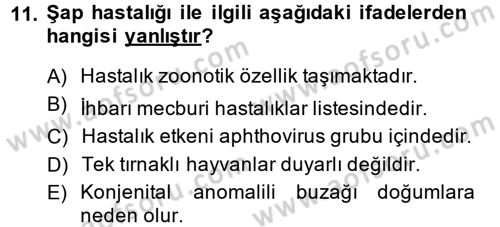 Viroloji Dersi 2014 - 2015 Yılı (Final) Dönem Sonu Sınav Soruları 11. Soru