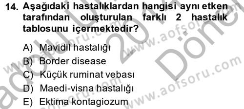 Viroloji Dersi 2014 - 2015 Yılı (Final) Dönem Sonu Sınav Soruları 14. Soru