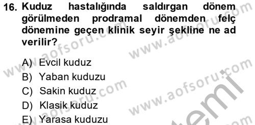 Viroloji Dersi 2014 - 2015 Yılı (Final) Dönem Sonu Sınav Soruları 16. Soru