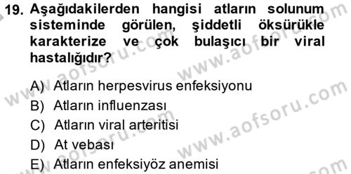Viroloji Dersi 2014 - 2015 Yılı (Final) Dönem Sonu Sınav Soruları 19. Soru