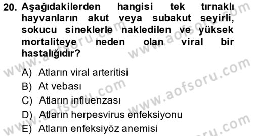 Viroloji Dersi 2014 - 2015 Yılı (Final) Dönem Sonu Sınav Soruları 20. Soru