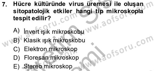 Viroloji Dersi 2014 - 2015 Yılı (Final) Dönem Sonu Sınav Soruları 7. Soru