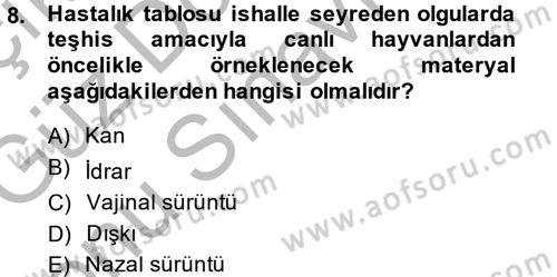 Viroloji Dersi 2014 - 2015 Yılı (Final) Dönem Sonu Sınav Soruları 8. Soru