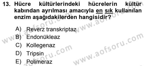 Viroloji Dersi 2015 - 2016 Yılı (Vize) Ara Sınavı 13. Soru