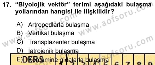 Viroloji Dersi 2015 - 2016 Yılı (Vize) Ara Sınavı 17. Soru