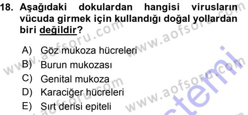 Viroloji Dersi 2015 - 2016 Yılı (Vize) Ara Sınavı 18. Soru