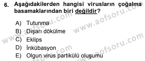 Viroloji Dersi 2015 - 2016 Yılı (Vize) Ara Sınavı 6. Soru