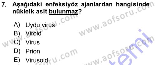 Viroloji Dersi 2015 - 2016 Yılı (Vize) Ara Sınavı 7. Soru