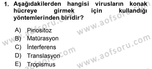 Viroloji Dersi 2015 - 2016 Yılı (Final) Dönem Sonu Sınav Soruları 1. Soru