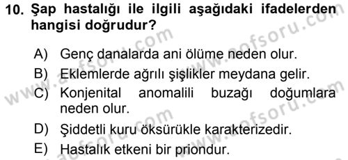 Viroloji Dersi 2015 - 2016 Yılı (Final) Dönem Sonu Sınav Soruları 10. Soru