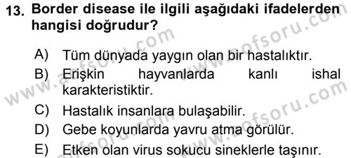 Viroloji Dersi 2015 - 2016 Yılı (Final) Dönem Sonu Sınavı 13. Soru