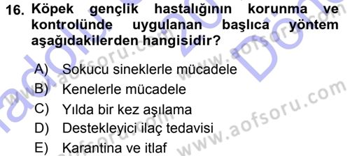Viroloji Dersi 2015 - 2016 Yılı (Final) Dönem Sonu Sınav Soruları 16. Soru