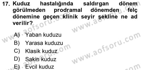 Viroloji Dersi 2015 - 2016 Yılı (Final) Dönem Sonu Sınav Soruları 17. Soru